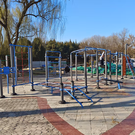 Equipo de gimnasio Equipo de gimnasia al aire libre para adultos para parques Ejercicio al aire libre